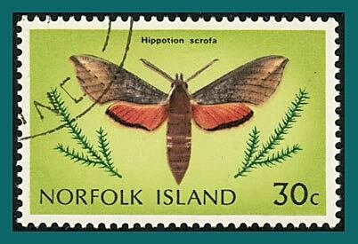 Norfolk Island 1977 Butterflies Moths 2, 30c used #213,SG191