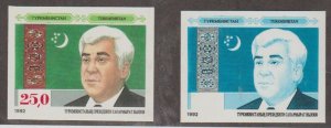 Turkmenistan #8 Stamp - Imperf & Coloring Missing Error - Mint NH Set