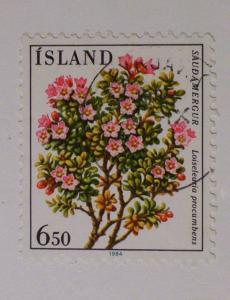 Iceland Scott #593 used