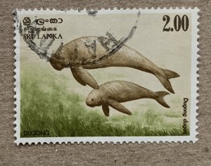 Sri Lanka 1983 2r Dugong sea cow, used. Scott 659, CV $1.00. SG 793