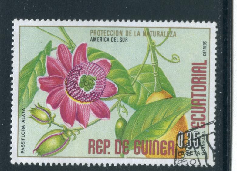 Equatorial Guinea 76153  Used