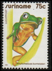 Suriname C95 - Mint-NH - 75c Burmeister's Leaf Frog (1981) (cv $1.25)