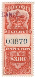 (I.B) Canada Revenue : Electric Light Inspection $3 (1895)