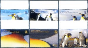 South Georgia. Fauna. 2005 Penguins.