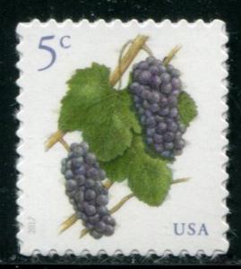 5177 US 5c Grapes SA, MNH