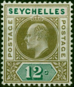 Seychelles 1903 12c Olive-Sepia & Dull Green SG49 Fine & Fresh MM