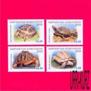 KYRGYZSTAN 2010 Nature Fauna Animals Reptiles Amphibians Turtles 4v Mi 644A-647A