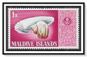 Maldive Islands #286 Sea Shell MHR