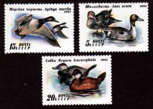 Russia 6009-6011 Mint NH Birds NH!