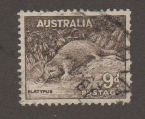 Australia 174 Duckbilled Platypus