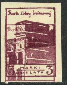 CENTRAL LITHUANIA 1920-21 3m Postage Due DBL IMPRESSION 1MISALIGNED Sc J4v MNGAP