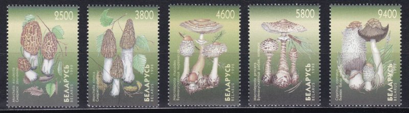 Belarus, Mushrooms MNH / 1998