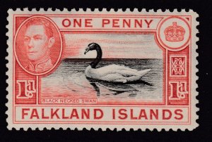 Falkland Islands - Scott #85