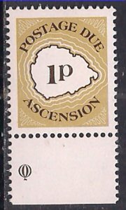 Ascension 1986 QE2 1p Postage Dues SG D1 MNH ( G41 )