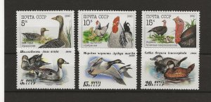 Russia 1990-91 Poultry, Ducks 2 sets of 3 sg.6156-8 & 6264-6  MNH