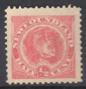 Newfoudland #57 VF-XF MINT Dog C$120.00  - Big Margin