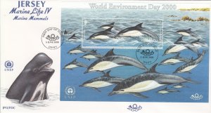 Jersey 2000  Enviroment Day Miniature Sheet on FDC