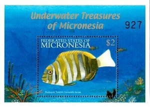 Micronesia 2001 - Fish Marine Life - Souvenir Stamp Sheet - Scott #448 - MNH