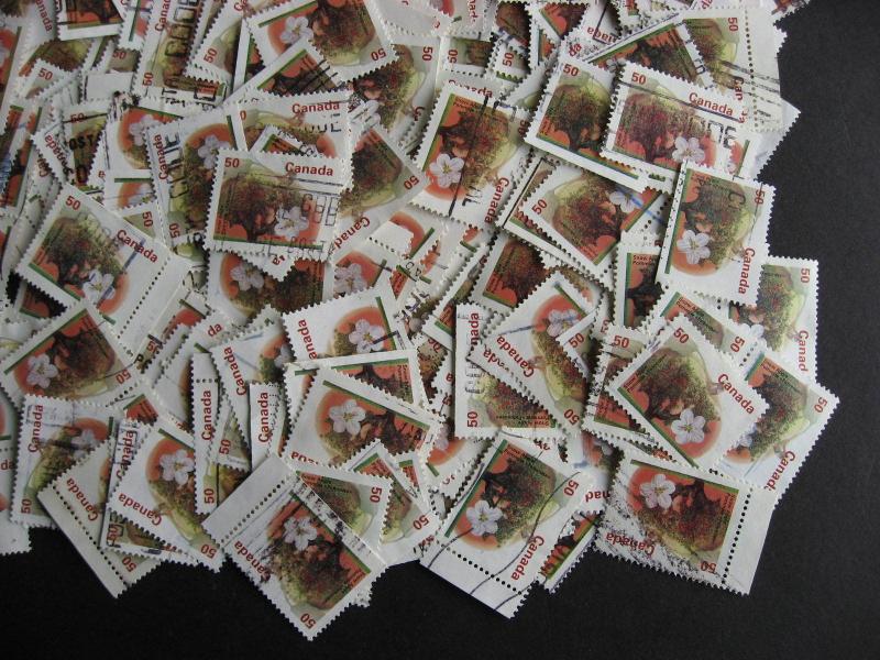 CANADA wholesale, bulk 480 used 50c Apple Tree Sc 1365 unsearched