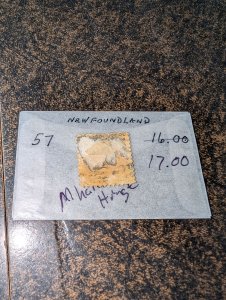 newfoundland #57 Mint with a hard Hinge