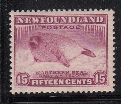 Newfoundland 1932-37 MNH Scott #195 15c Northern seal