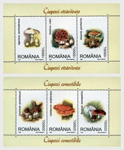 2003    ROMANIA  -  SG;MS6366 a & b  - FUNGI - UNMOUNTED MINT 