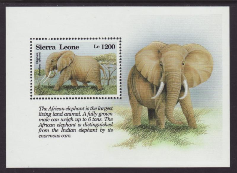 Sierra Leone 1656 Elephant Souvenir Sheet MNH VF