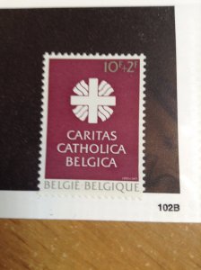 Belgium  # B1022  MNH