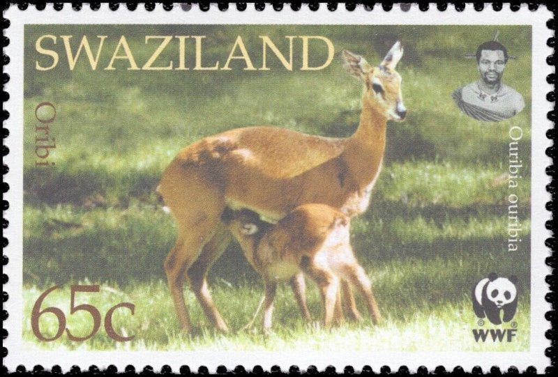 Swaziland 2001 Sc 698-701 Oribi Antelope Klipspringer WWF CV $4.50