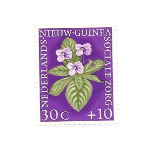 Netherlands New Guinea 1959 - M - Scott #B22 *