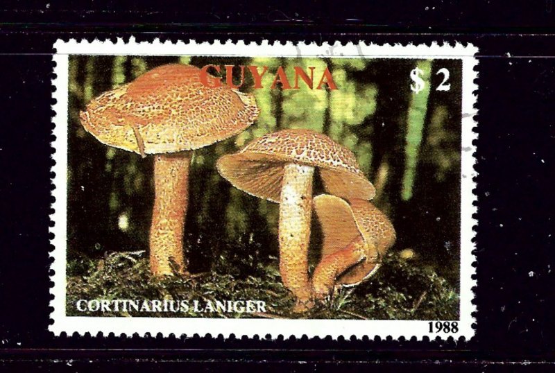 Guyana 2010b CTO 1989 Mushrooms