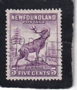 Newfoundland   #   191   used