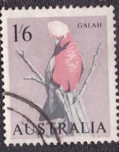 Australia  - 369 1964 Used