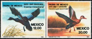 ✔️ MEXICO 1984 - BIRDS DUCKS - Sc. 1346/1347a pair MNH ** [01PM3]