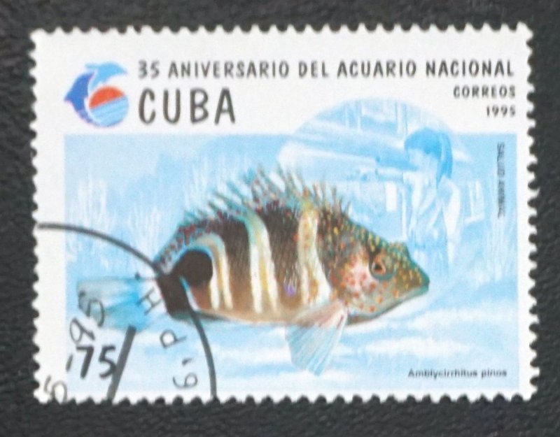 CUBA Sc# 3633 NATIONAL AQUARIUM FISH marine life  75c 1995  used cto