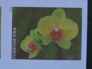 ​UNITED STATES- GARDEN BEAUTY-LOVELY FLOWERS-FOREVER MNH BOOKLET VERY FINE