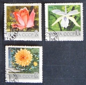 Flowers, 1969, USSR, (1507-Т)