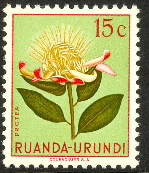 RUANDA-URUNDI 1953 15c FLOWERS Issue Sc 115 MVLH