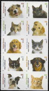 4451-4460 MNH Animal Rescue - Adopt a Shelter Pet block of 10