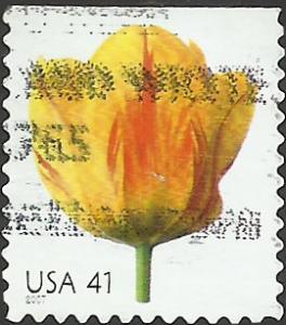 # 4185 USED TULIP