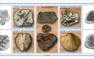 GUINEA - 2023 - Fossils - Perf 4v Sheet - Mint Never Hinged