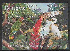 BRAZIL 1988 BRAPEX NATIONAL PHILATELIC EXHIBITION FAUNA BIRDS PARROT MNH SS