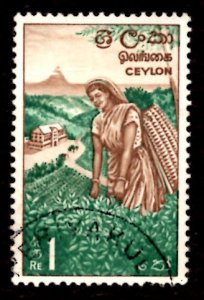 Ceylon/Sri Lanka 1966 Woman Tea Picker 1r Scott.379 Used (#1)