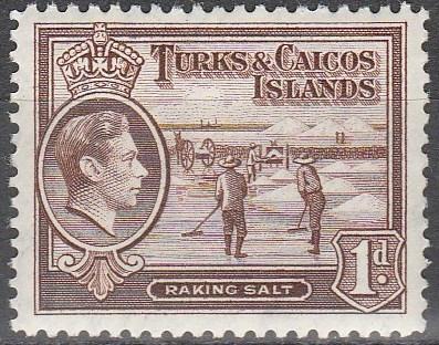 Turks & Caicos Islands #80  MNH