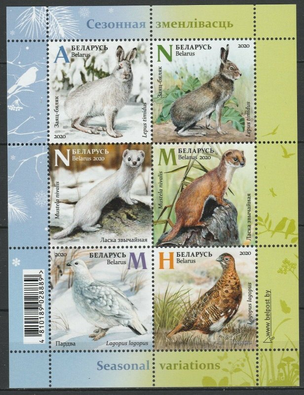 Belarus 2020 Fauna, Animals, Birds MNH sheet