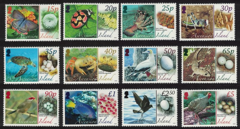 Ascension Birds Butterflies Fauna and their Eggs 12v 2007 MNH SG#987-998