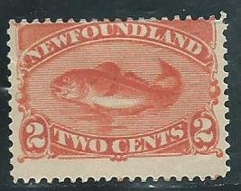 Newfoundland 48b  Mint    1887   PD