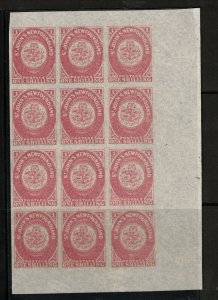 Newfoundland #23 #23i Extra Fine Mint Margin Block Of Twelve - Ten Never Hinged