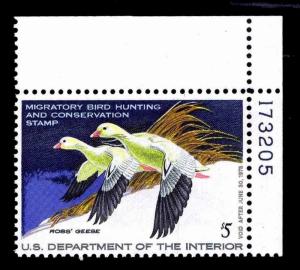 RW44 MINT **PNS** FEDERAL DUCK STAMP OF 1977 - OGNH - VF (ESP#0737)