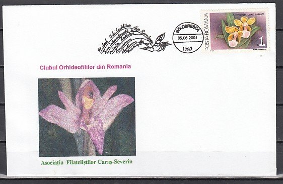 Romania, 1981 issue. 05/JUN/81 Orchid cancel on Cachet cover. ^